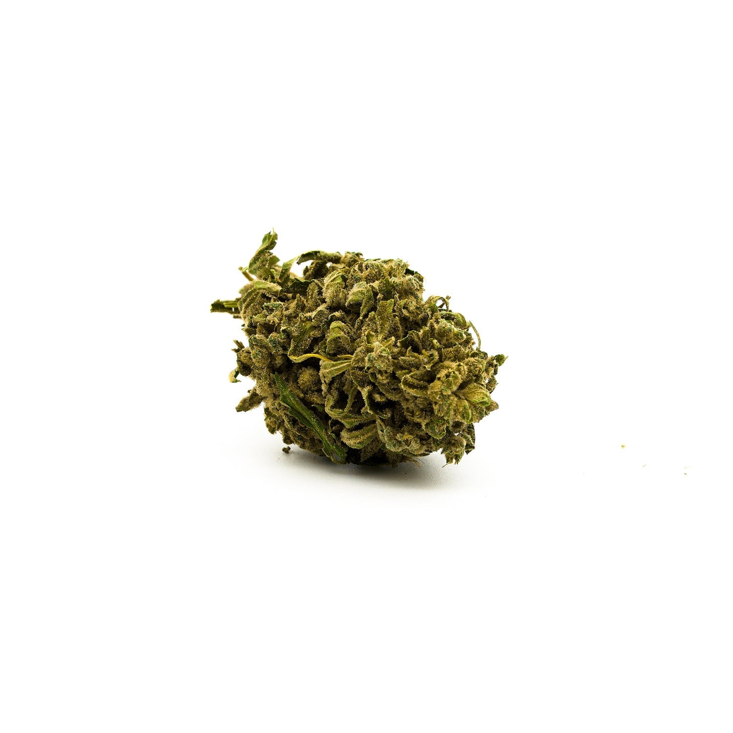 Dried Sauerkraut 29% THCA Flower bud showcasing dense green coloring and uplifting effects