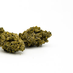Dried Sauerkraut THCA flower bud showcasing dense green trichomes for uplifting effects