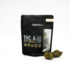 Black resealable pouch of Sauerkraut 29% THCA Flower showcasing premium organic buds and uplifting effects