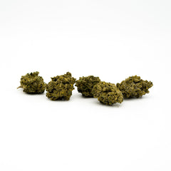 Four dried cannabis buds of Sauerkraut THCA Flower showcasing uplifting effects