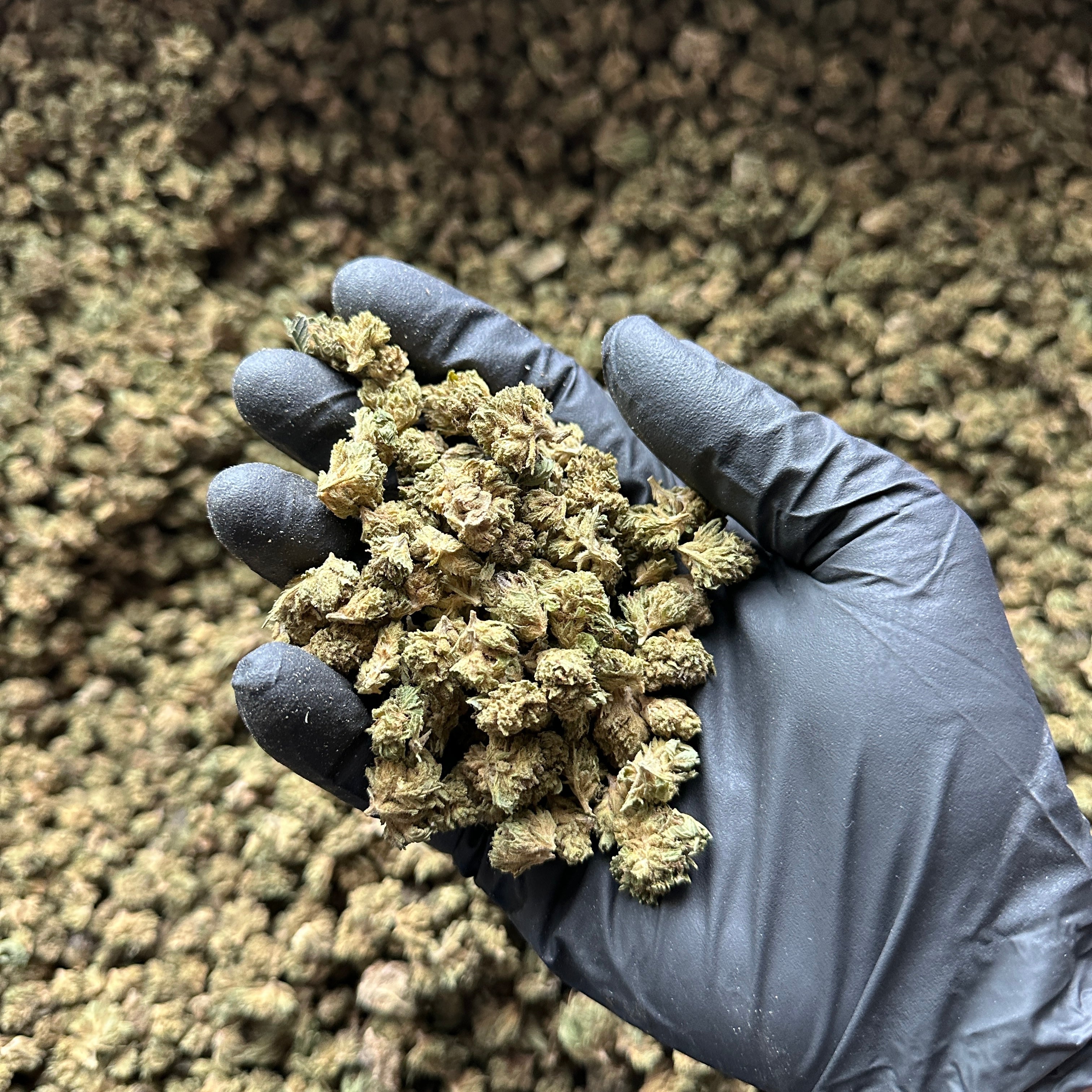 Hemp Flower Small Nugs Wholesale