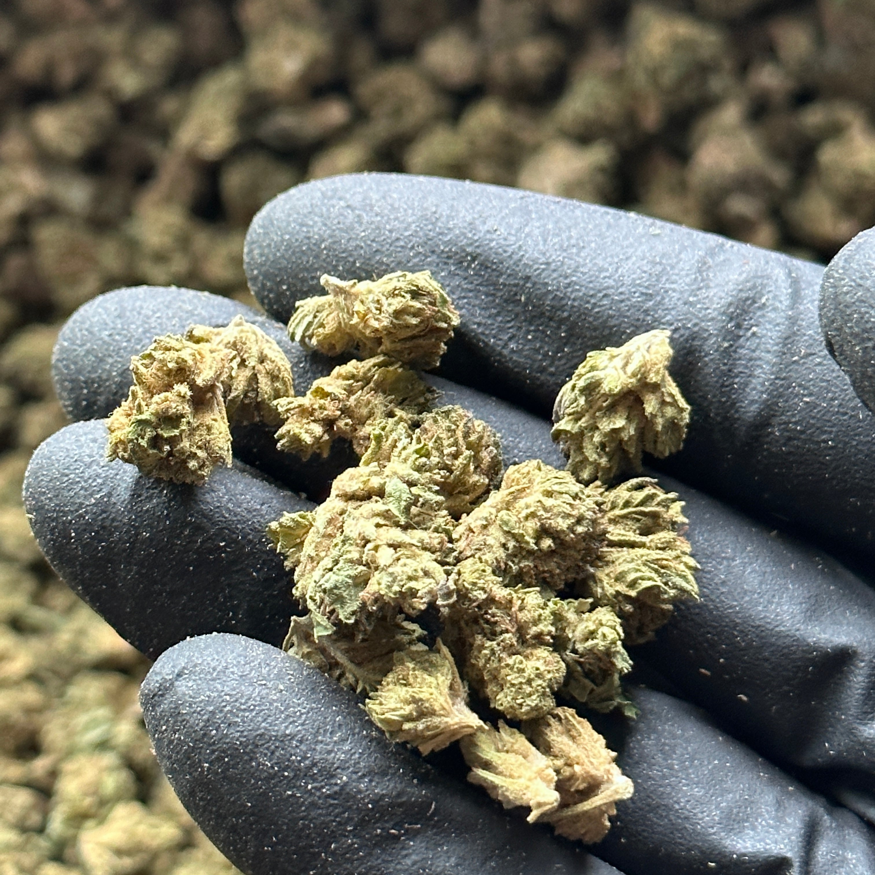 Hemp Flower Small Nugs Wholesale