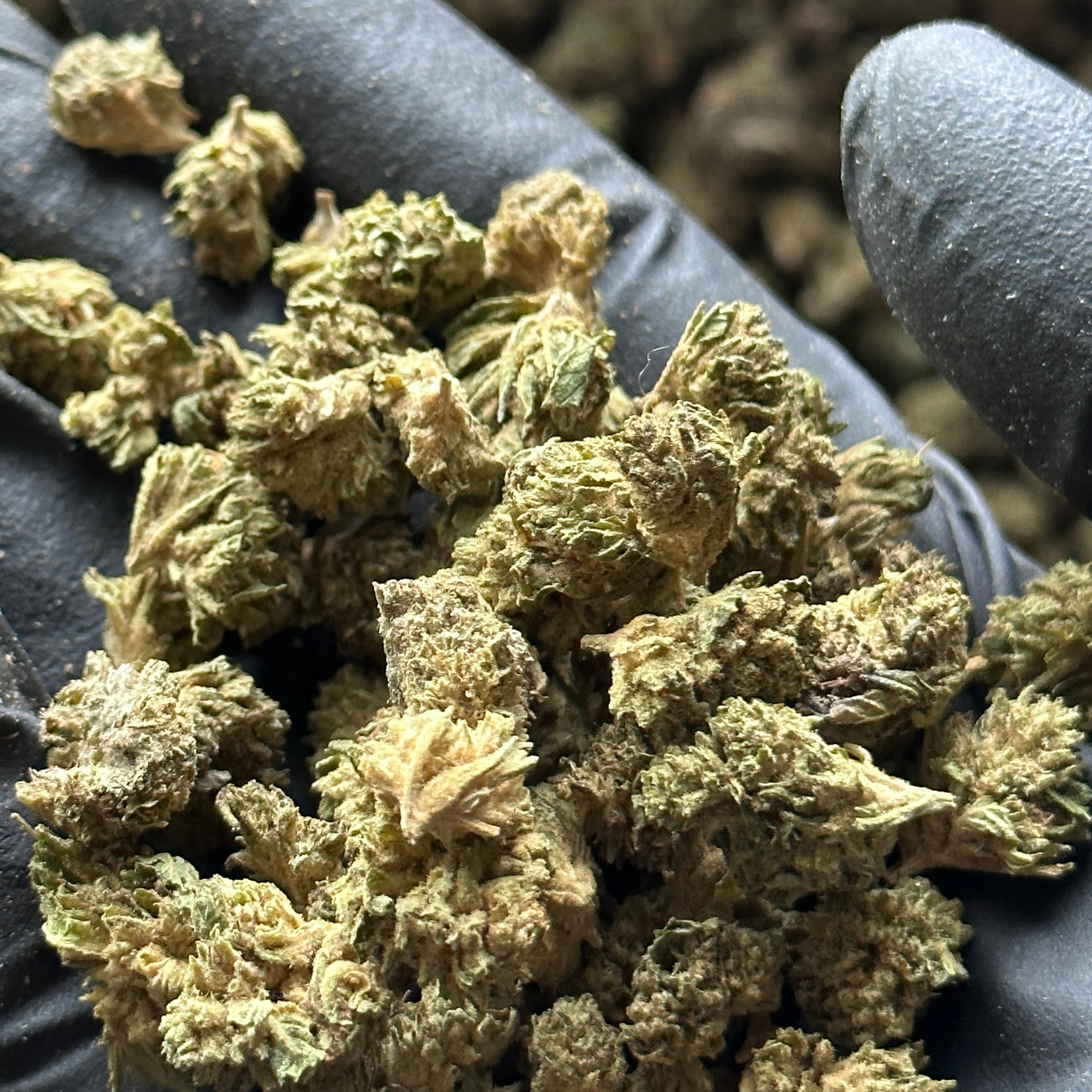 Strawberry Cough Hemp Flower Small Nugs Wholesale