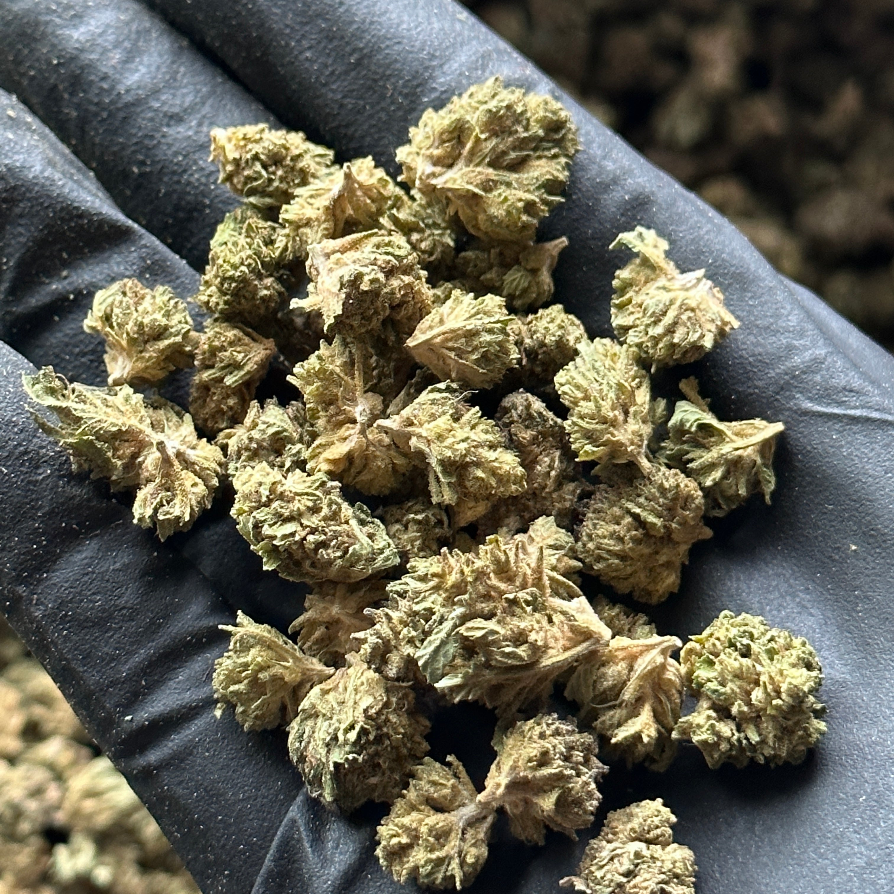 Hemp Flower Small Nugs Wholesale