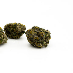 Dried Super Sonic THCA flower buds showcasing dark green colors and visible trichomes