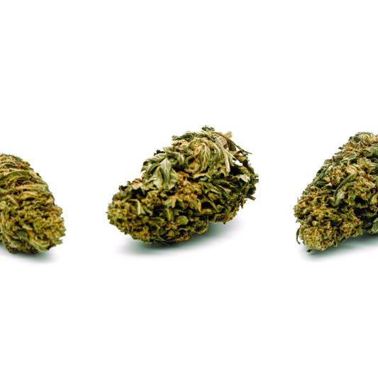 Cherry Wine Hemp Flower Wholesale