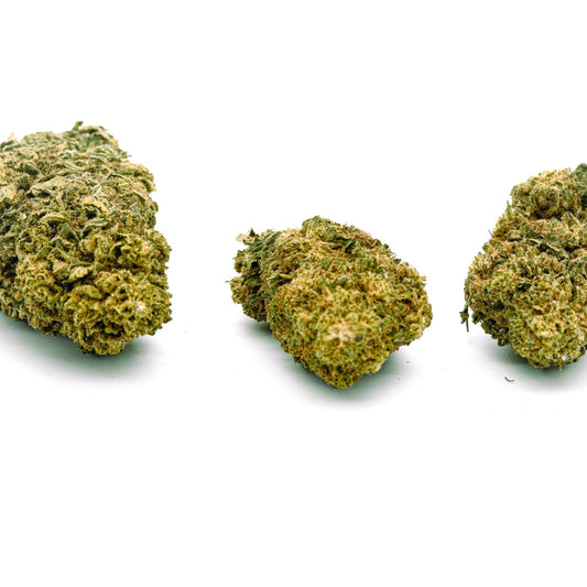 Frosted Lime Hemp Flower Wholesale