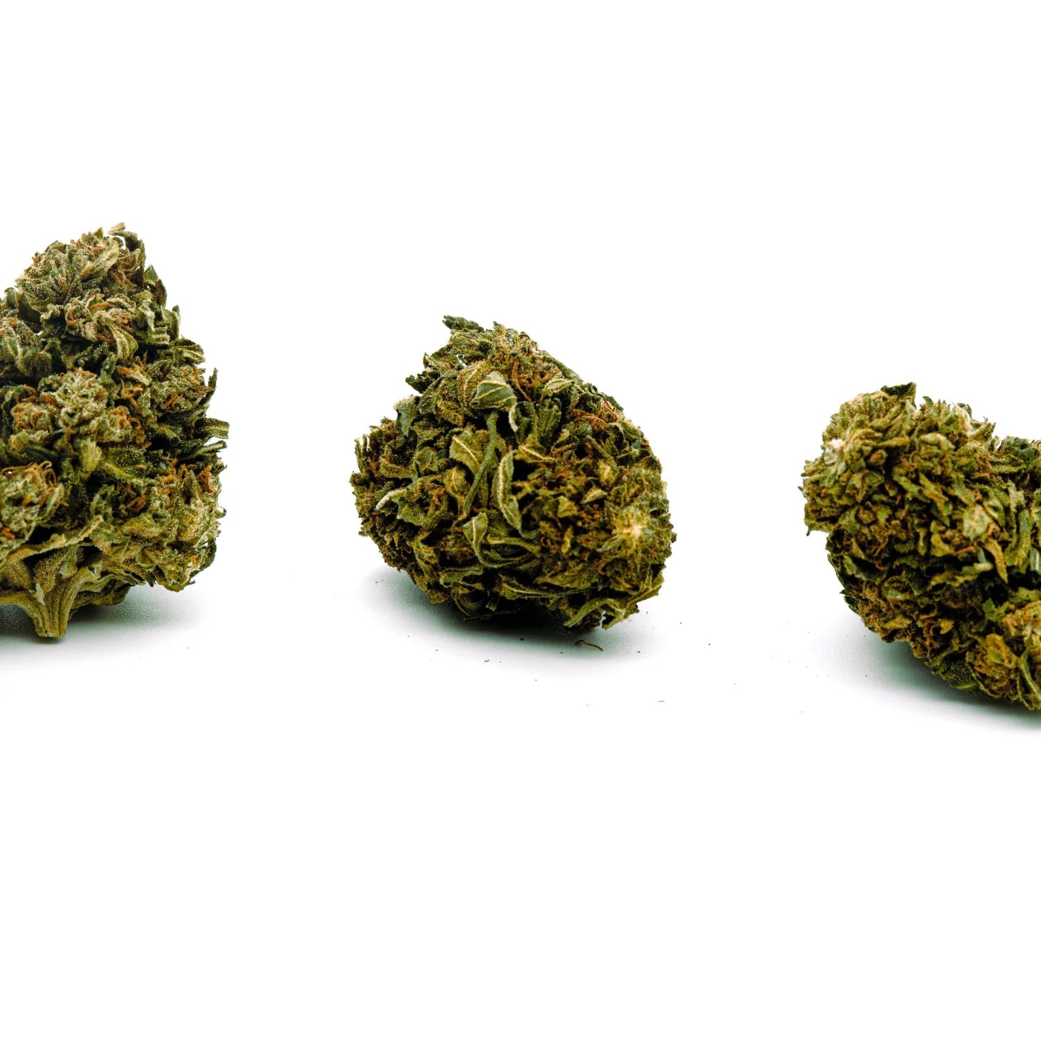 shop oregon hemp flower store