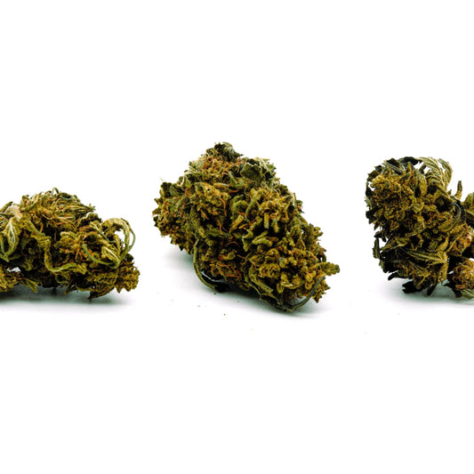 Merlot Hemp Flower Wholesale