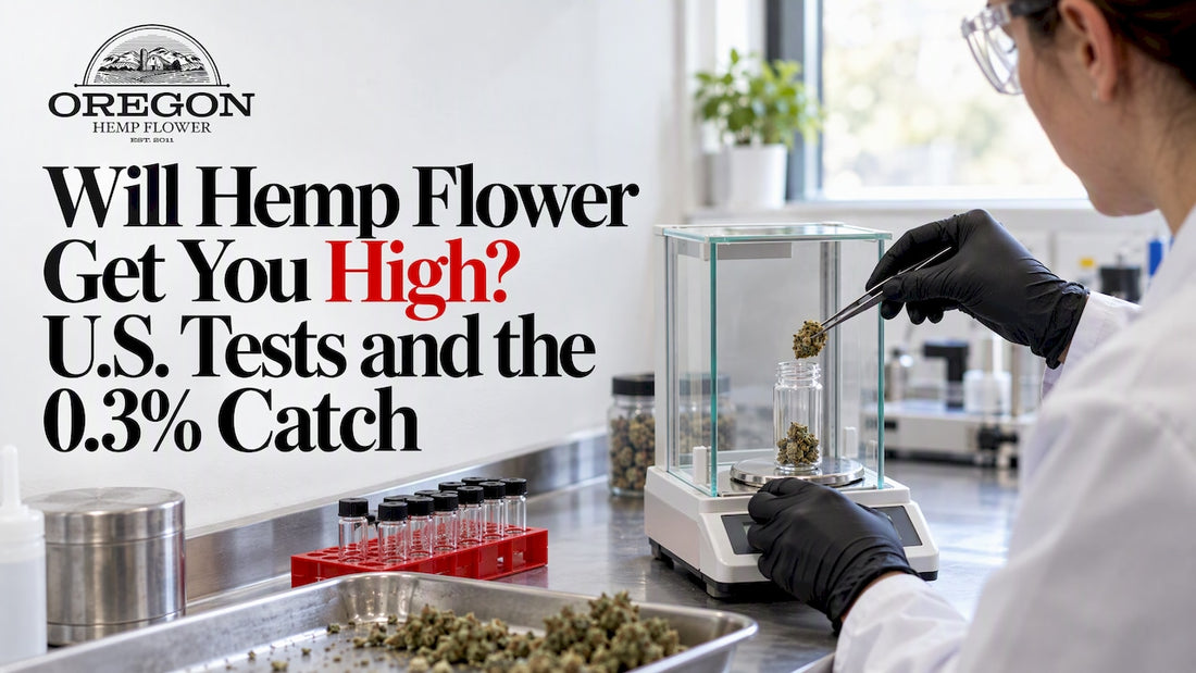 Hemp flower sample prepared for laboratory testing