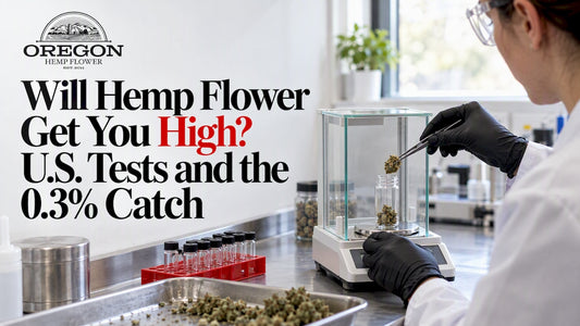 Hemp flower sample prepared for laboratory testing