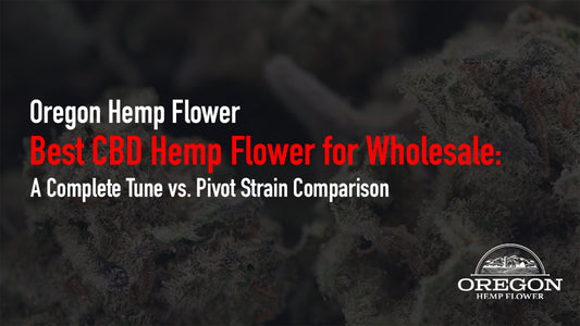 Best CBD Hemp Flower for Wholesale: A Complete Tune vs. Pivot Strain Comparison