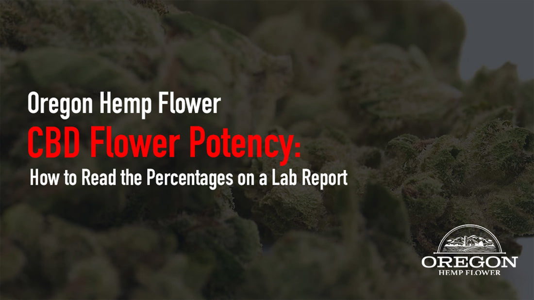 CBD flower sample beside a lab report