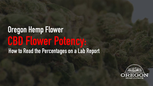 CBD flower sample beside a lab report