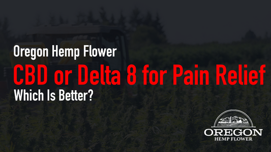 CBD or Delta 8 for Pain Relief—Which Is Better?