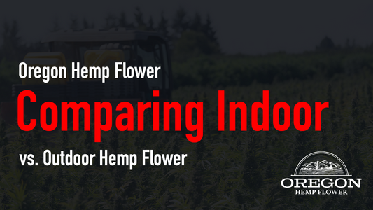 Comparing Indoor vs. Outdoor Hemp Flower