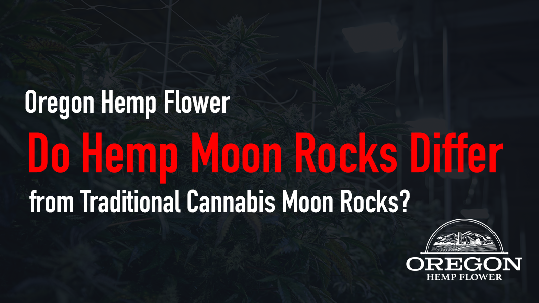 Do Hemp Moon Rocks Differ from Traditional Cannabis Moon Rocks?