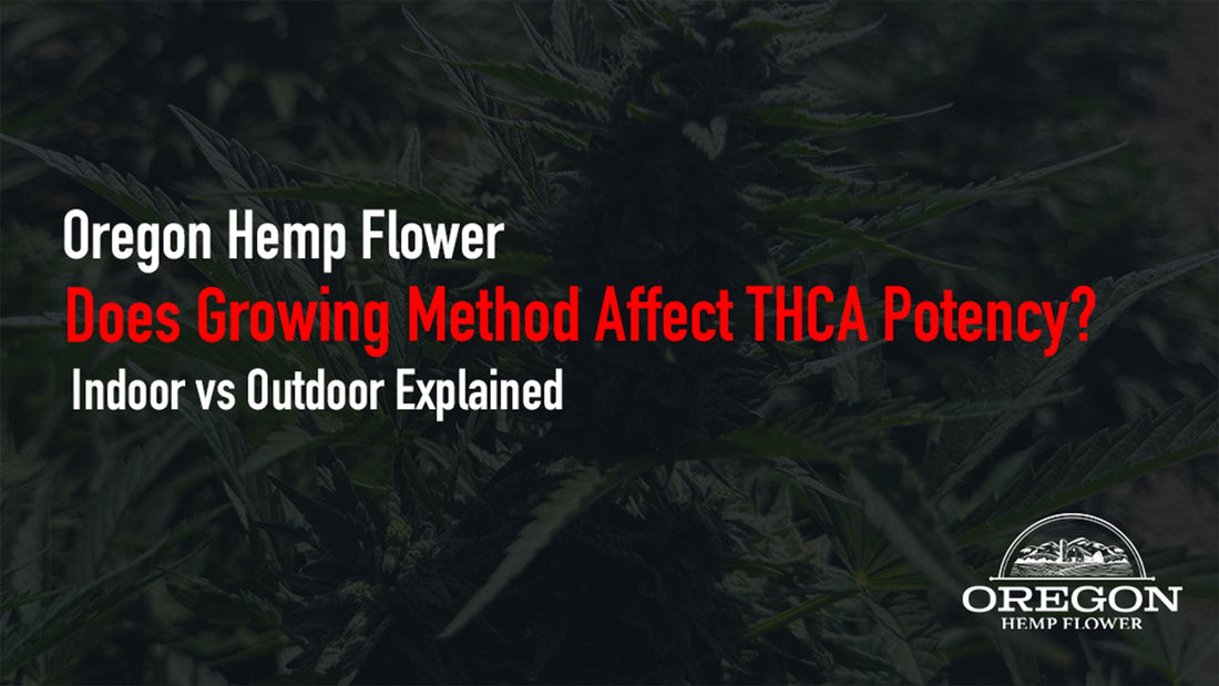Does where THCA flower is grown affect how strong it is? Learn how indoor vs outdoor cultivation impacts THCA percentages, lab results and overall experience.