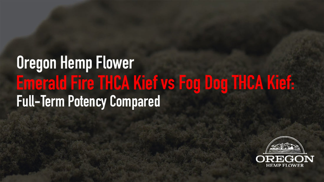 Compare Emerald Fire vs Fog Dog THCA kief potency with real lab data. See THCA percentages, batch consistency, and why full-term curing drives stronger results.
