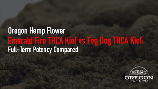 Compare Emerald Fire vs Fog Dog THCA kief potency with real lab data. See THCA percentages, batch consistency, and why full-term curing drives stronger results.