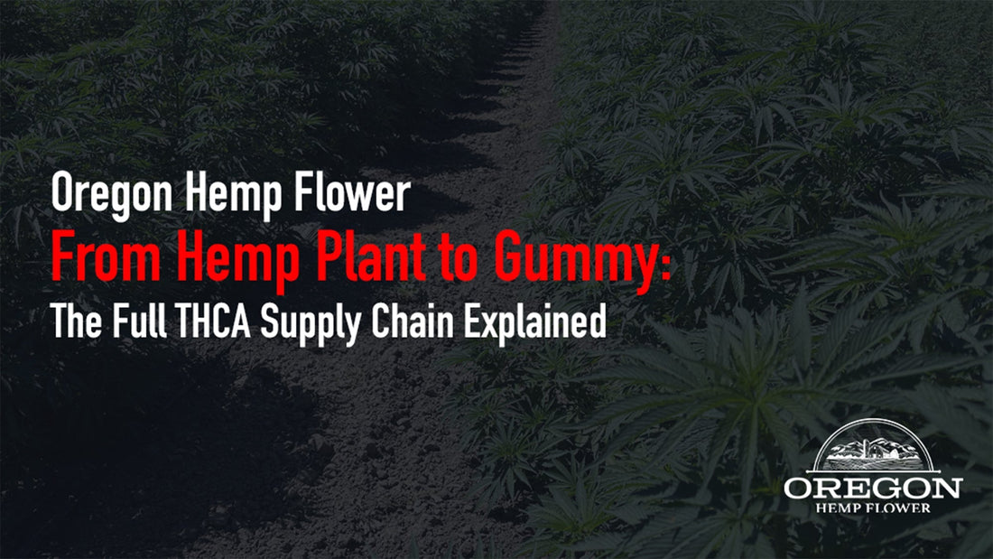 From farm to gummy: explore the full THCA gummies supply chain — cultivation, extraction, testing, and manufacturing — in one detailed breakdown.