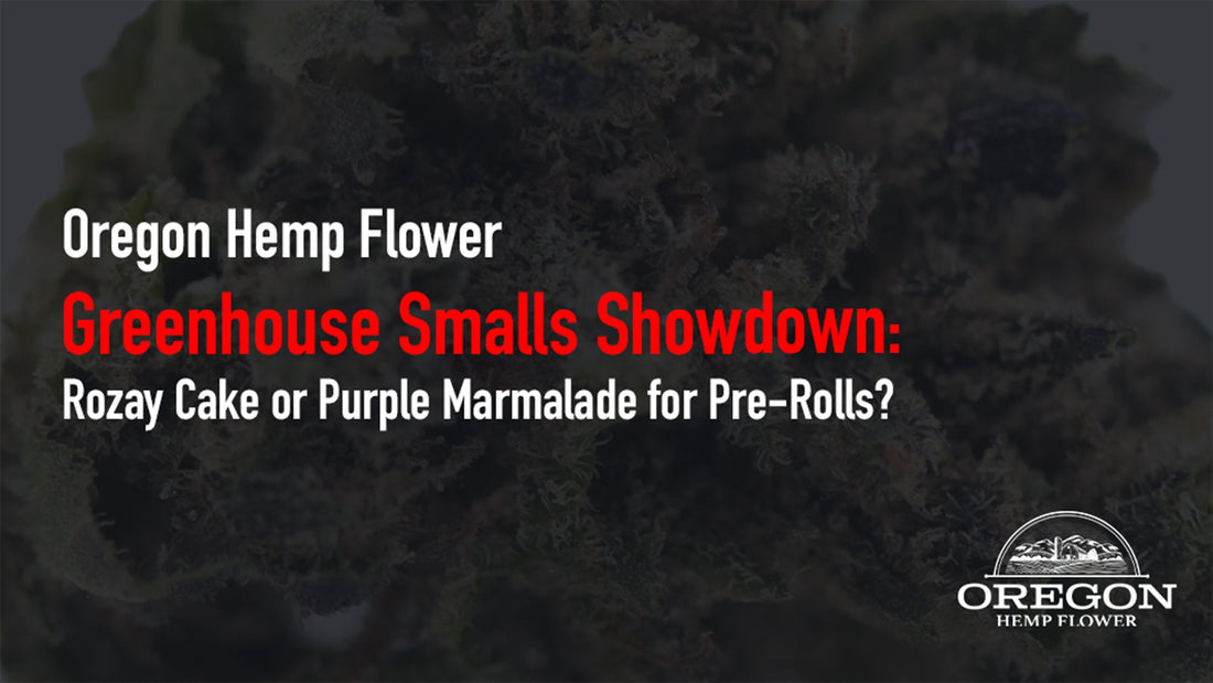 Comparing Rozay Cake and Purple Marmalade greenhouse smalls for pre-roll production — grind consistency, burn quality, potency, and wholesale sourcing.