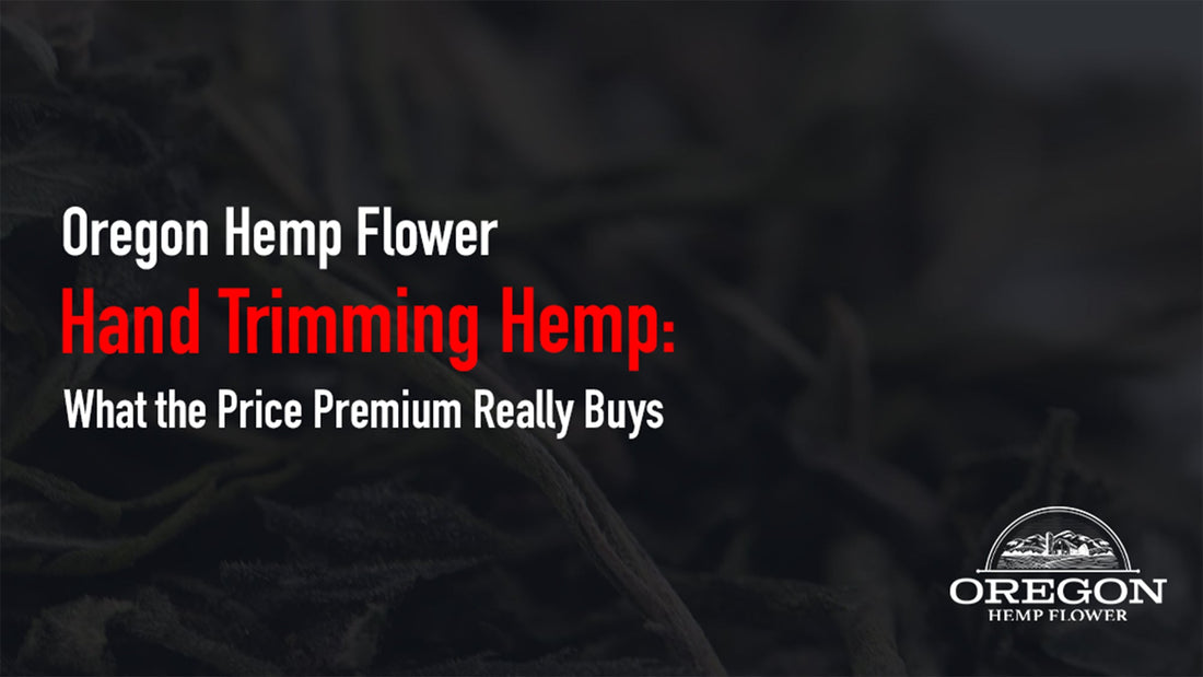 Hands carefully trimming hemp flower