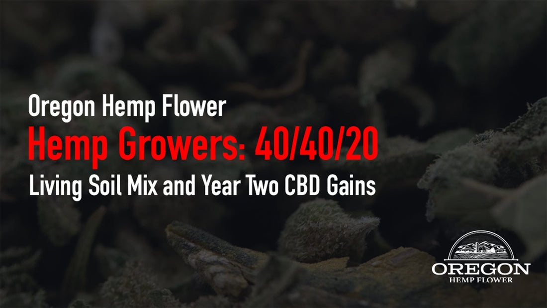 Living soil plan for hemp growers: a 40/40/20 mix, 4–6 week maturation, strain specific microbiome tips, and scaling advice from 15 L pots to field beds.