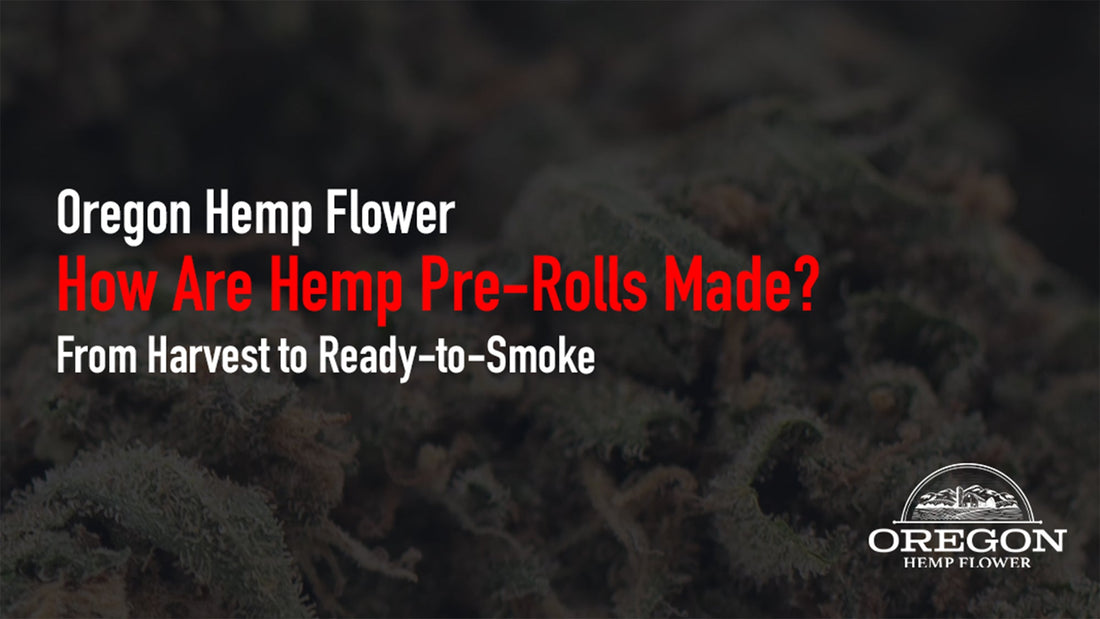 Discover the full journey of a THCA pre-roll — from seed selection and cultivation to curing, rolling, and lab testing. Learn more about premium hemp pre-rolls.