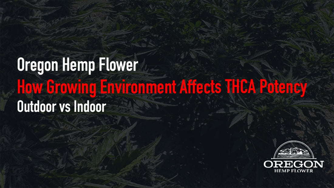 Learn how growing environment affects THCA potency and terpene profiles — and why it matters more than the percentage on the label.