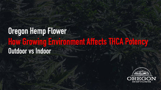 Learn how growing environment affects THCA potency and terpene profiles — and why it matters more than the percentage on the label.