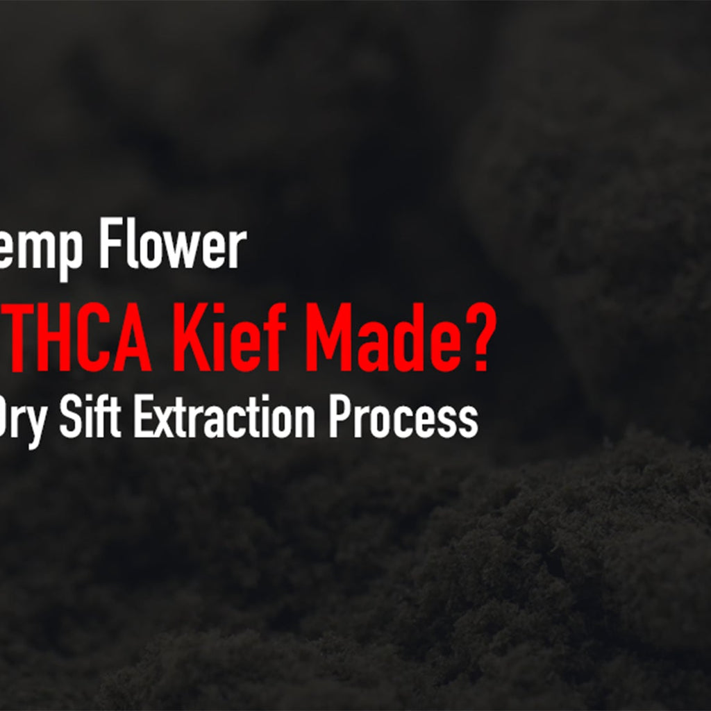 How Is THCA Kief Made? Inside the Dry Sift Extraction Process