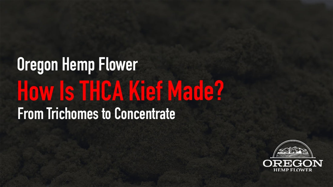 Discover the step-by-step process behind THCA kief production, from trichome separation to the finished concentrate.