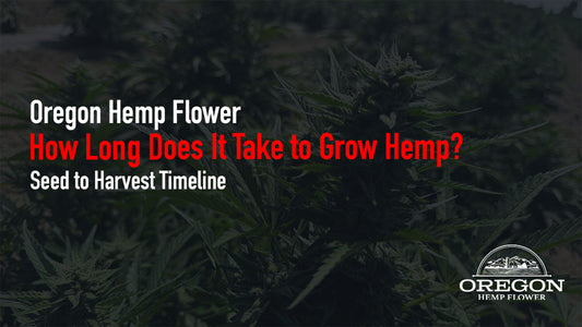 How long does hemp take to grow? Most photoperiod plants need 3–5 months from seed to harvest. See every stage, autoflower timelines, and when THCa develops.
