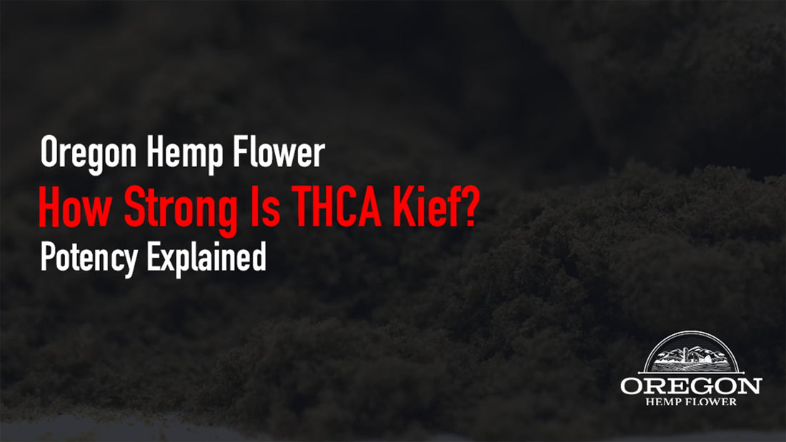 How strong is THCA kief compared to flower? Here's what potency percentages actually mean for your experience.