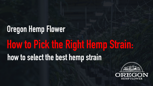 How to Pick the Right Hemp Strain: how to select the best hemp strain