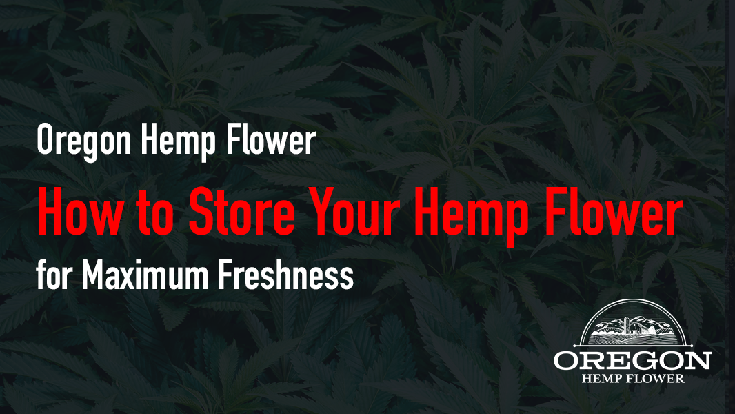 How to Store Your Hemp Flower for Maximum Freshness