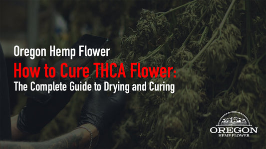 Learn how to cure THCA flower the right way — from slow-drying temperature and humidity targets to burping schedules and long-term storage.