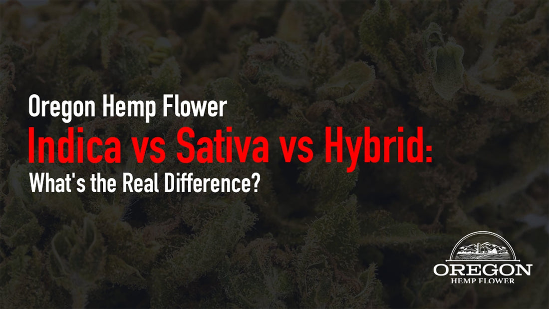Indica, sativa, or hybrid — which THCA flower is right for you? Explore the real differences, effects, and how to choose the best strain for your needs.