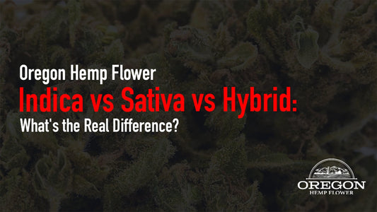 Indica, sativa, or hybrid — which THCA flower is right for you? Explore the real differences, effects, and how to choose the best strain for your needs.