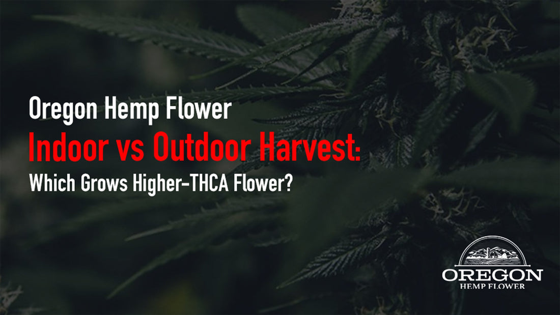 Indoor vs outdoor THCA flower — which grow method actually produces higher potency? We break down greenhouse, light dep, and sun-grown cannabis potency data.