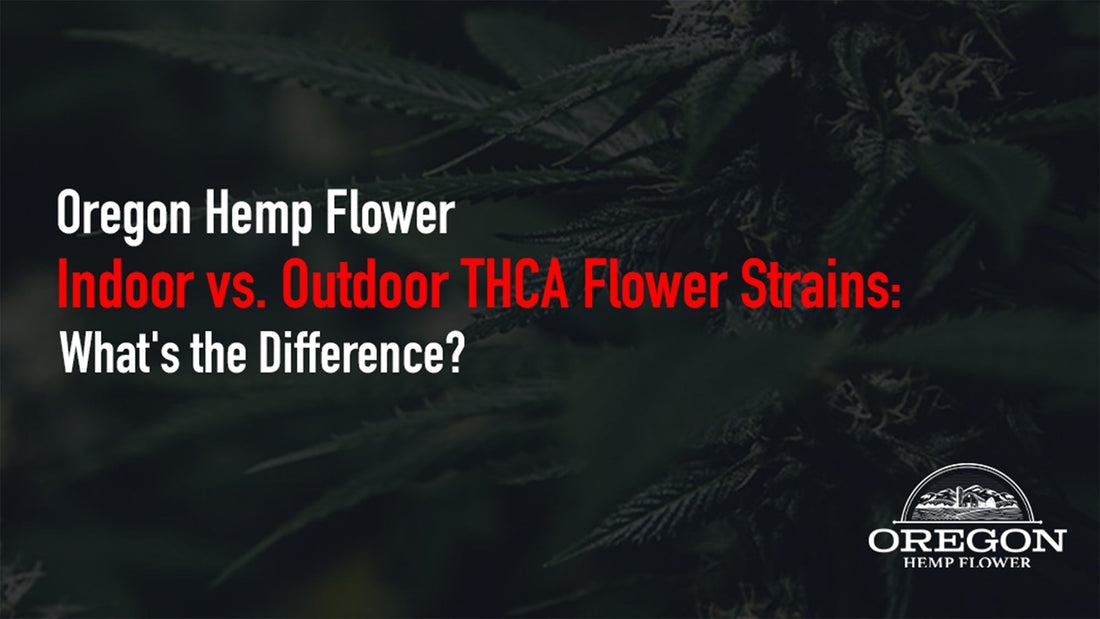 Discover the real differences between indoor THCA flower, outdoor THCA flower, and greenhouse THCA strains.