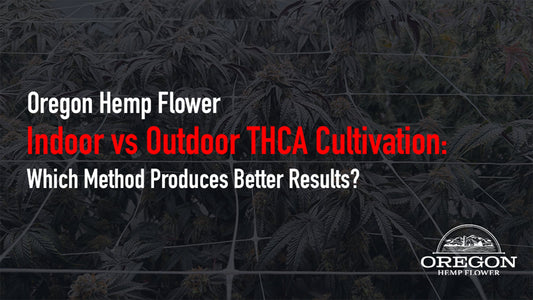 Indoor vs Outdoor THCA Cultivation