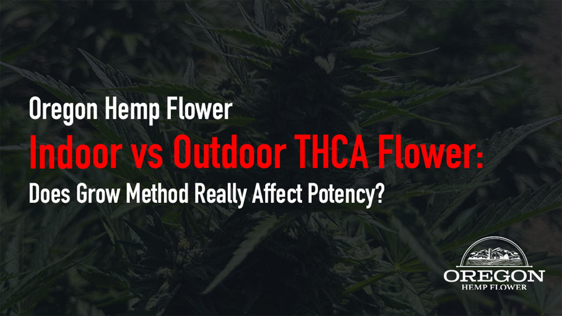 This detailed comparison of indoor, outdoor, and greenhouse THCA hemp covers what actually matters when choosing your flower.