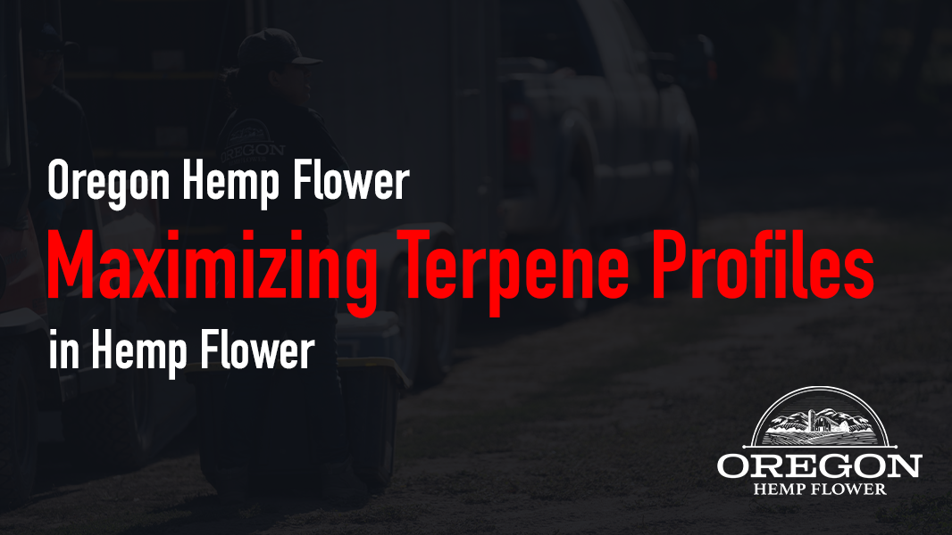 Maximizing Terpene Profiles in Hemp Flower