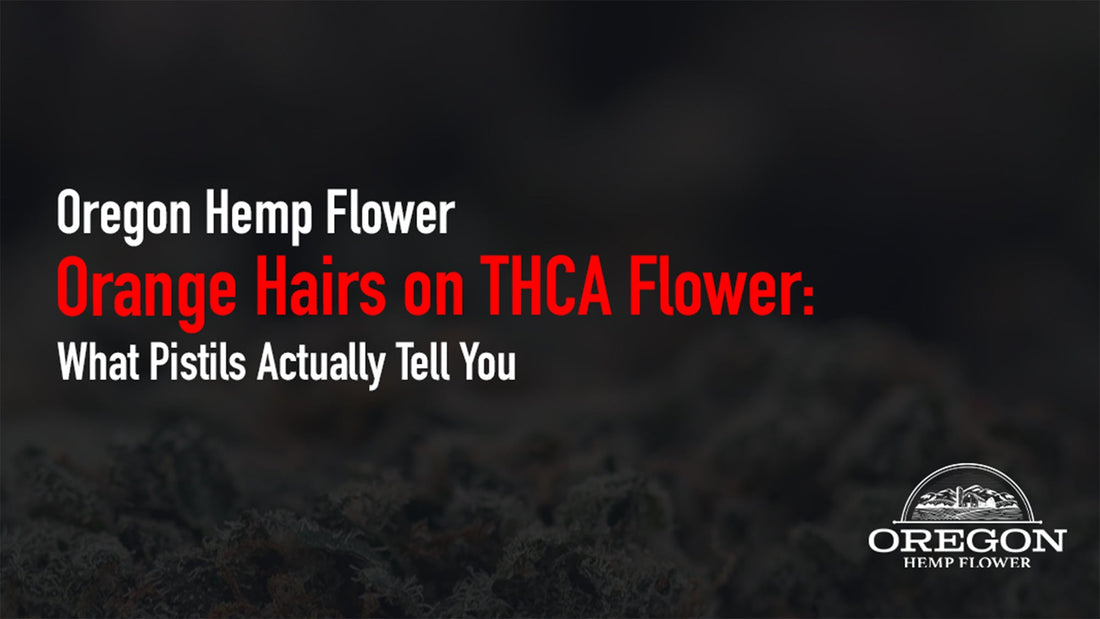 Orange Hairs on THCA Flower