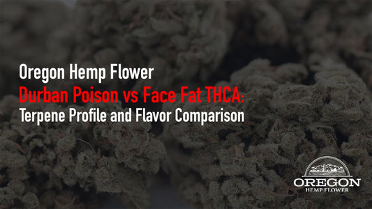 Durban Poison vs Face Fat THCA