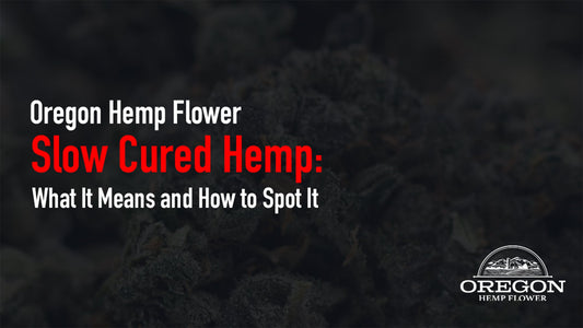 Hemp flower curing in glass jars