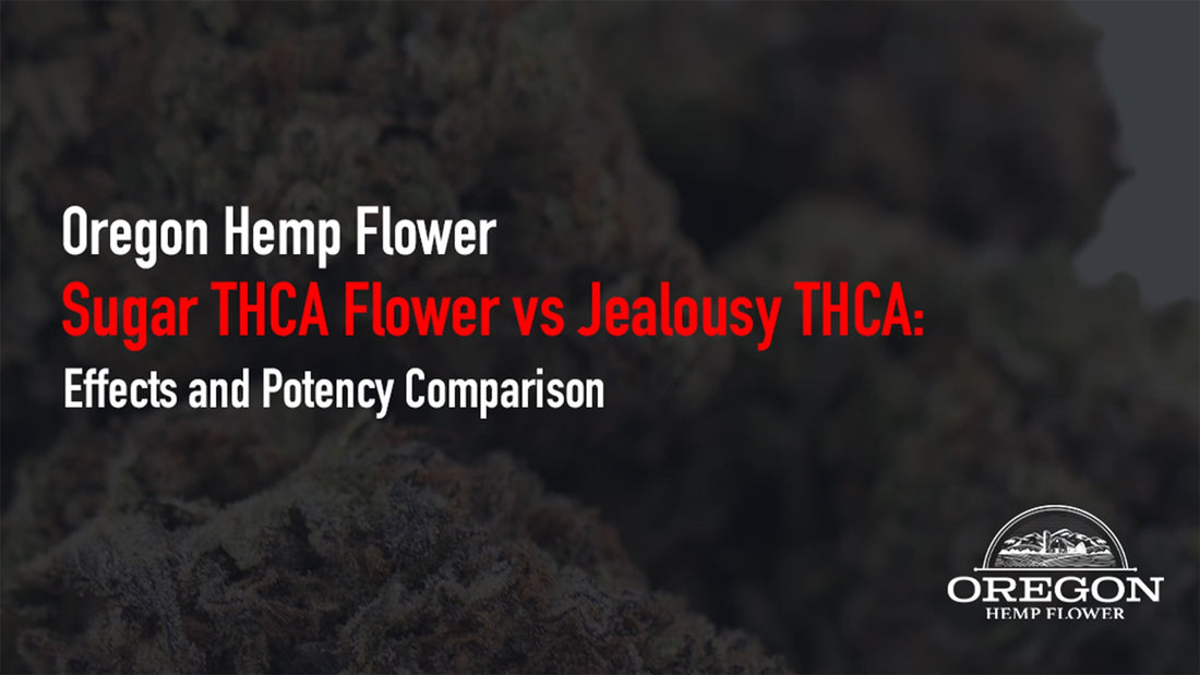 Sugar THCA Flower vs Jealousy THCA