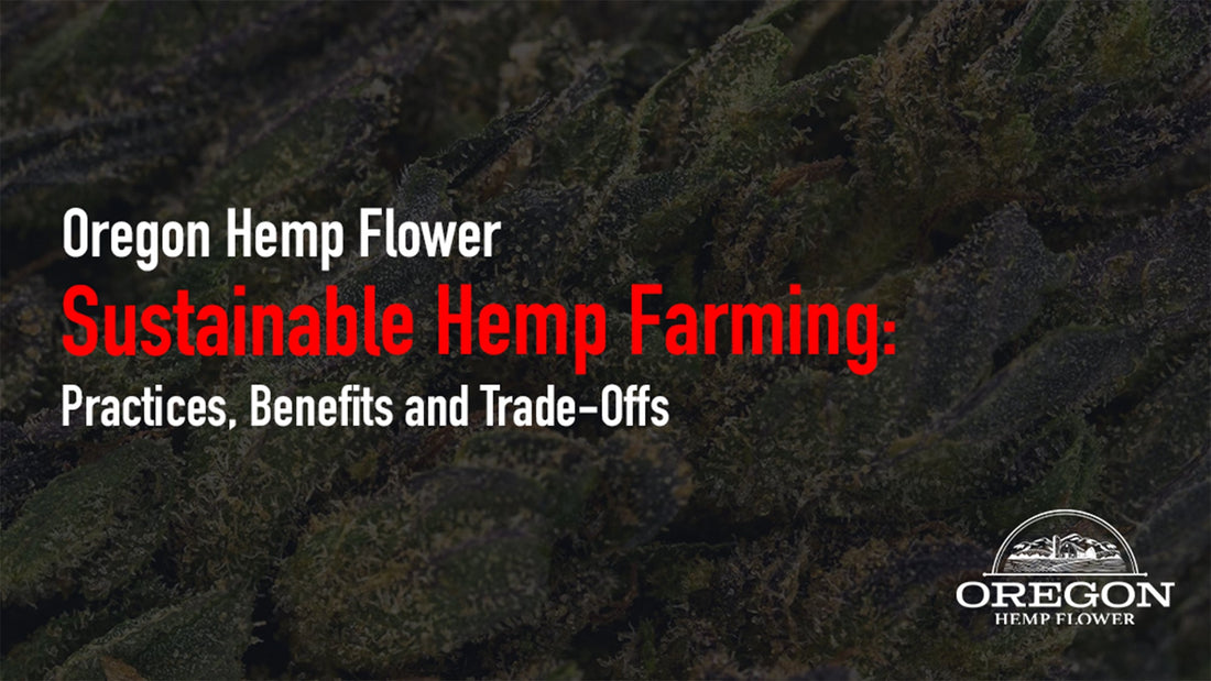 Hemp rows across a sustainable Oregon farm